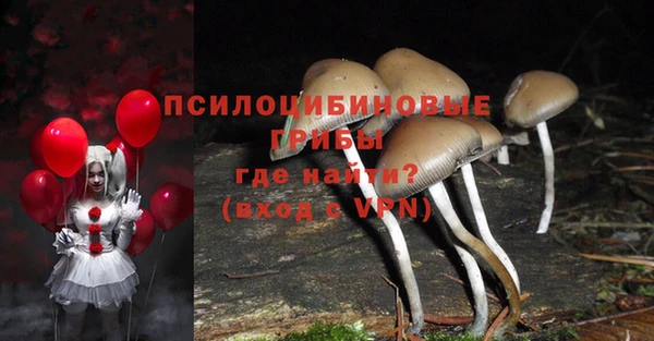 альфа пвп Балахна