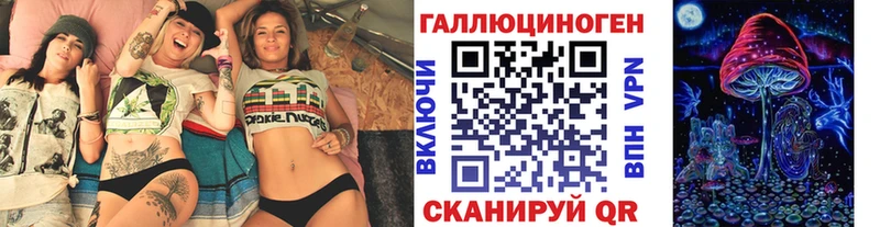 MEGA ONION  дарнет шоп  Новоржев  Псилоцибиновые грибы Psilocybe 